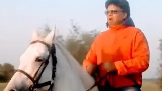 horse running video | | horse race video  | | #shorts #animal #horses