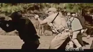 AMERICAN MILITIA RISING