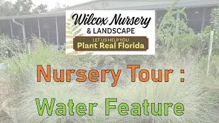 Nursery Tour Tuesday- Water Feature!