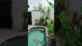 Villa for Lease in Bali 🌴 #shorts