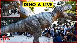 Real Dinosaur Attacks People