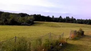 NEFPV SpecWing Streamer 2015-07-25