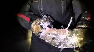 Night Bite Ling at Clark Canyon JawJacker Video