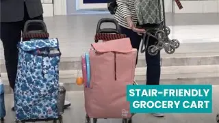 Groceries? Stairs? No Problem! Meet dbest Stair Climber Cart