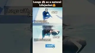 Your Lungs 🫁 are Natural Lifejacket 🦺 Swimming Tips For Beginners #swimming #swimmingtips #floating