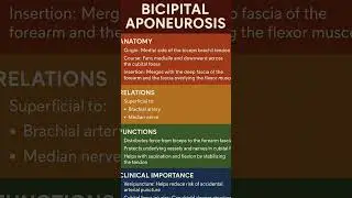 #bpt #anatomy #ncahp