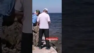 Запуск сазана в Волгу для размножения популяции