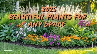 Small Garden Ideas: Smart Designs & Beautiful Plants for Any Space!