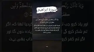 Shukar Karo To Zyada Milega! (14:7)  #SurahIbrahim #Shukar #Barakah #quranshorts #shortsfeed #duet