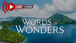 SEMOGA JARINGAN AMAN - WORDS OF WONDERS #live #feedshorts #wow