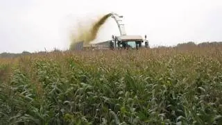 Claas Jaguar 890 Loonbedrijf Sevenster uit Elsendorp ( 2013 )