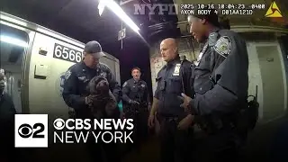 NYPD officers rescue dog from subway tracks
