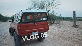 A 900 Year Old Tree by the Rio Grande River