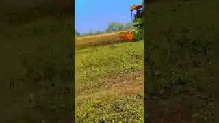 #short #farming #moog