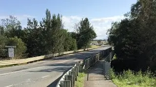 Wingham Bridge/Pool - RonHartley MidCoast Council