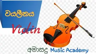 වයලීනය 🎻  || How to play Violin || අමාසඳූ Music Academy || 🎶