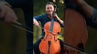 Believer - Imagine Dragons#cello #cover #imaginedragons