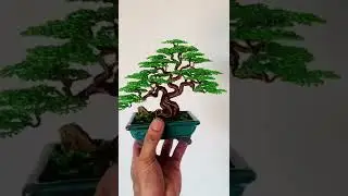 Bonsai handmade Bắc Giang #bonsai #handmade #thủc&ocirc;ng  #trangtr&iacute;