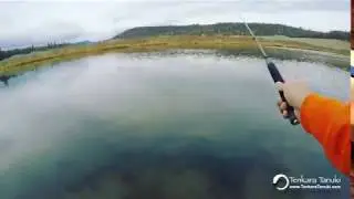 Using Dropper with Tenkara Rod, Tanuki rod.