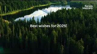 Best wishes for 2025 from the Forvis Mazars team