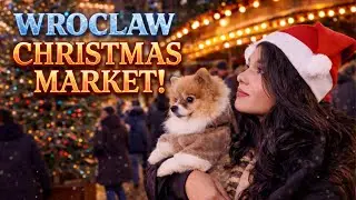 Wrocław Christmas Market 2025 | Europe & Poland&rsquo;s Most Magical Holiday Market