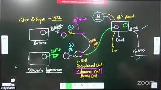 11 B4