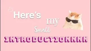 Small introduction | Typography edit | Software Engineer who loves exploring | Video editing