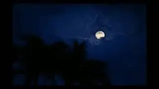 Sizzling Rain Thunder Storm Sound Music for Relax - Spa - Massage Therapy - Body Healing