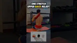 Physical Therapy Move for Shoulder Pain Relief ♻️💪🏻 @MiladRahimifit