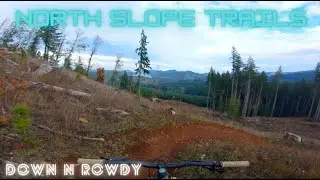 Down N Rowdy - North Slope Trails - Capitol Forest, WA