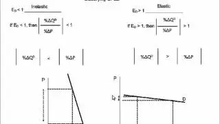 Own Price Elasticity of Demand   Intro