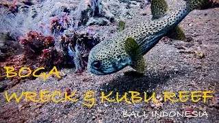 Scuba Diving Kubu, Bali, Indonesia (Boga Wreck & Kubu Reef)