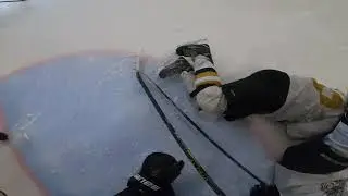 2 flugor i en sm&auml;ll