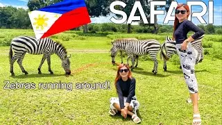 D.I.Y. Part1 Calauit Safari Park is a wildlife sanctuary in the Philippines 🇵🇭 Busuanga Palawan