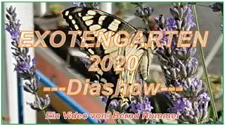 EXOTENGARTEN 2020   Diashow