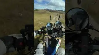 TET Montenegro, Durmitor on  BMW G 650 X-Challenge