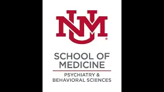 Law and Mental Health: How Much Do Protective Factors Matter? Results of the Youth Protective Factor