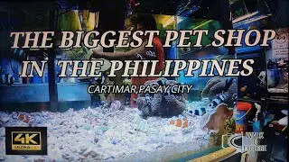 4K 🇵🇭👣WALKING AT THE BIGGEST PET CENTER IN CARTIMAR PASAY CITY| WALK TO EXPLORE #cartimar #pasaycity