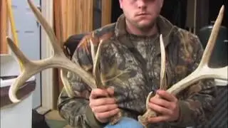 Whitetail Shed Antlers: QDMA Management Minute