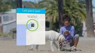 Tile Sport - Key Finder. Phone Finder. Anything Finder (Graphite)