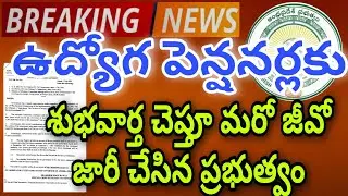 GOOD NEWS TO EMPLOYEES |AP GOVERNMENT ISSUED ANOTHER G.O ON IR