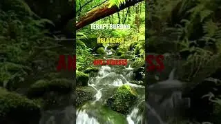 TERAPI BURUNG RELAKSASI ANTI STRES #birdsounds #relaxingmusic