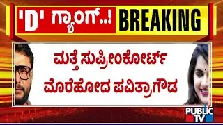Pavithra Gowda Moves Revision Petition In Supreme Court | Public TV