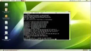 renew ip address on linux