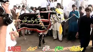 hamza sky video fateh jang