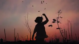 Lofi Study Music : Study without stress