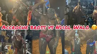 On dirait un Lion 🦁 affamé : Accrochage de Bross , Ndiol Walo  à Ndangane Sambou 29/01/26