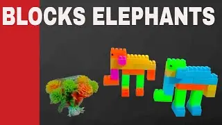 Elephant with Building Blocks For Kids #blocks #asmr