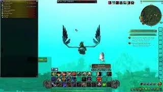 Collecting All The Things In WoW Part 31 - Questing In Darnassus + Winterspring