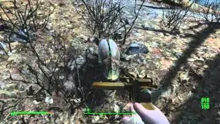 Fallout 4 : Friendly Radroach Glitch